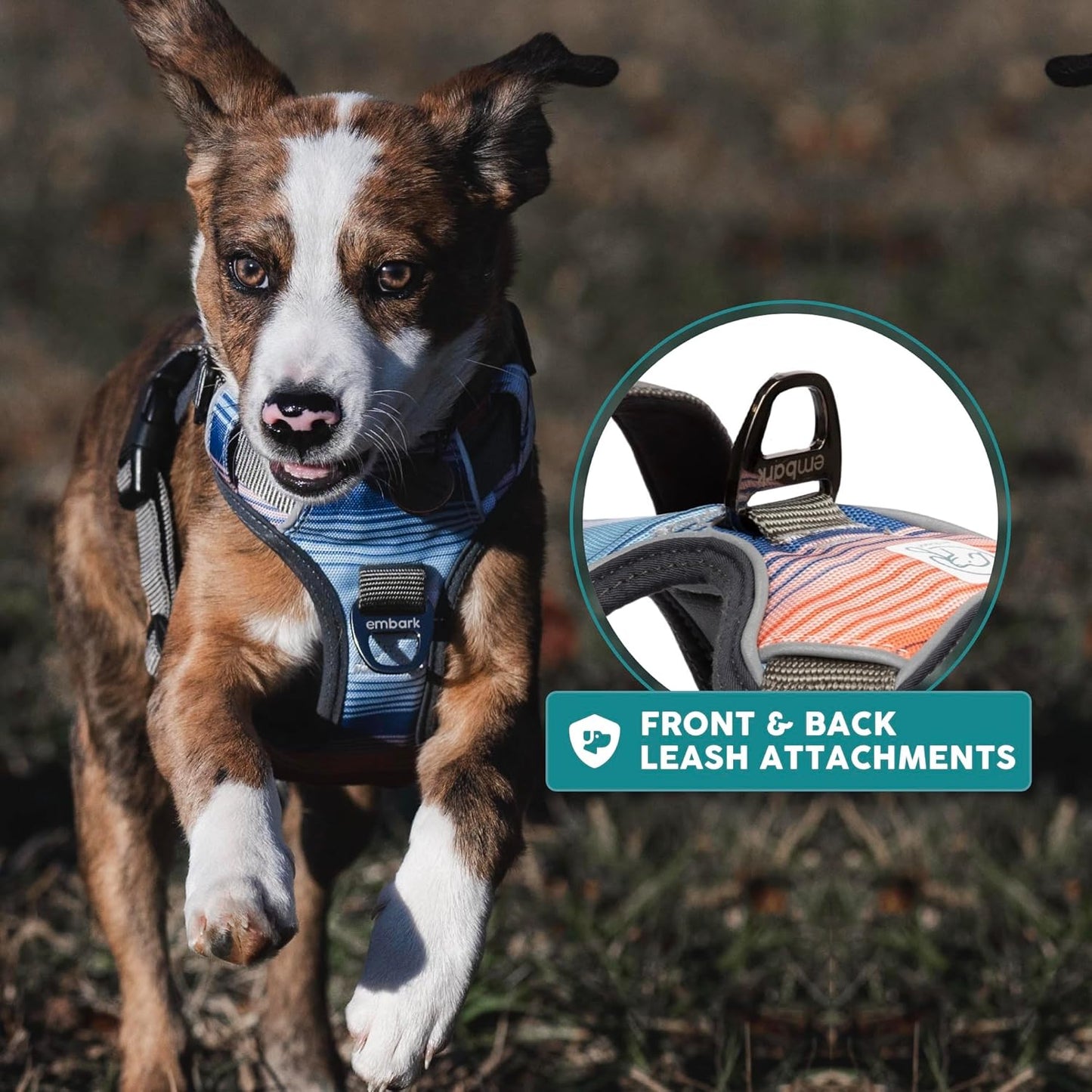 Embark Adventure Dog Harness, Reflective Trim No Pull Dog Harnesses for Small Sized Dogs - Military Grade Nylon, Front Clip with Gel Lined Handle.