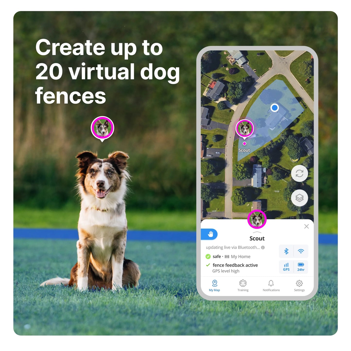 3 - Wireless GPS Dog Fence & Training Collar with Real-Time Tracking, Sunburst, Medium/Large