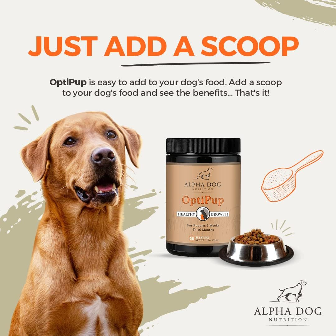 Optipup All-In-1 Puppy Multivitamin by – Contains 31 Superfoods Including Probiotics and Prebiotics for Digestive Support, Skin & Immune Health, and Optimum Growth (30 Servings)