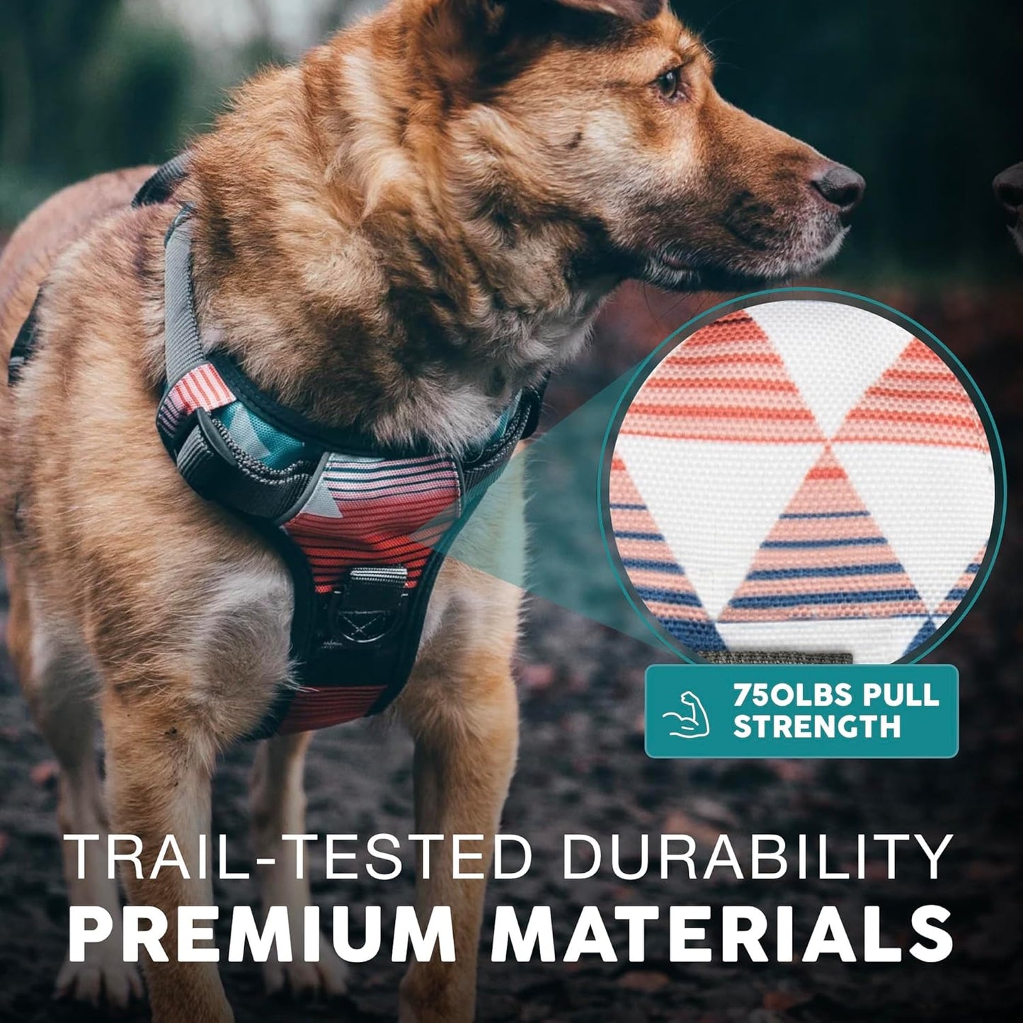 Embark Adventure Dog Harness, Reflective Trim No Pull Dog Harnesses for Small Sized Dogs - Military Grade Nylon, Front Clip with Gel Lined Handle.