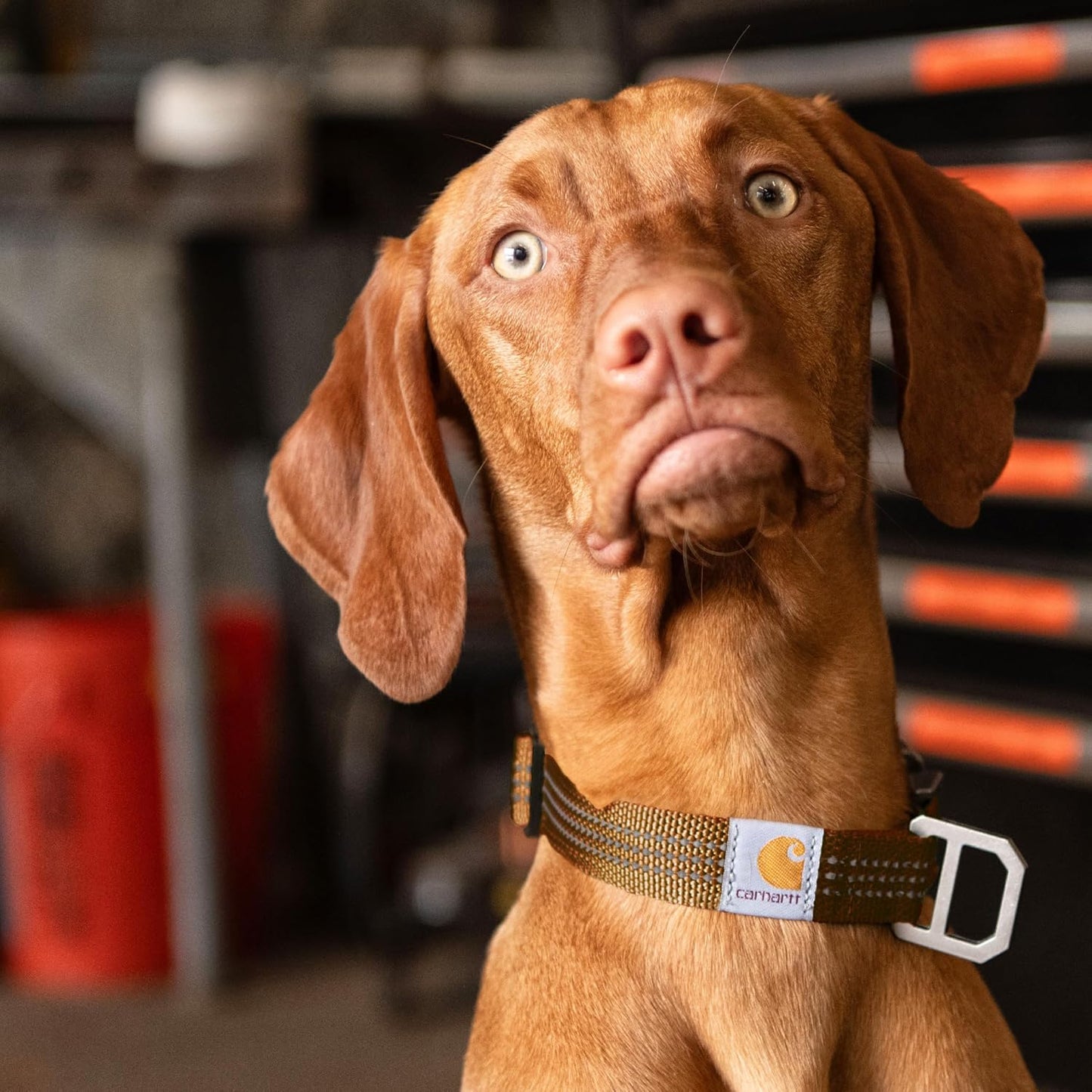 Gear P0000343 Tradesman Collar - Large - Black