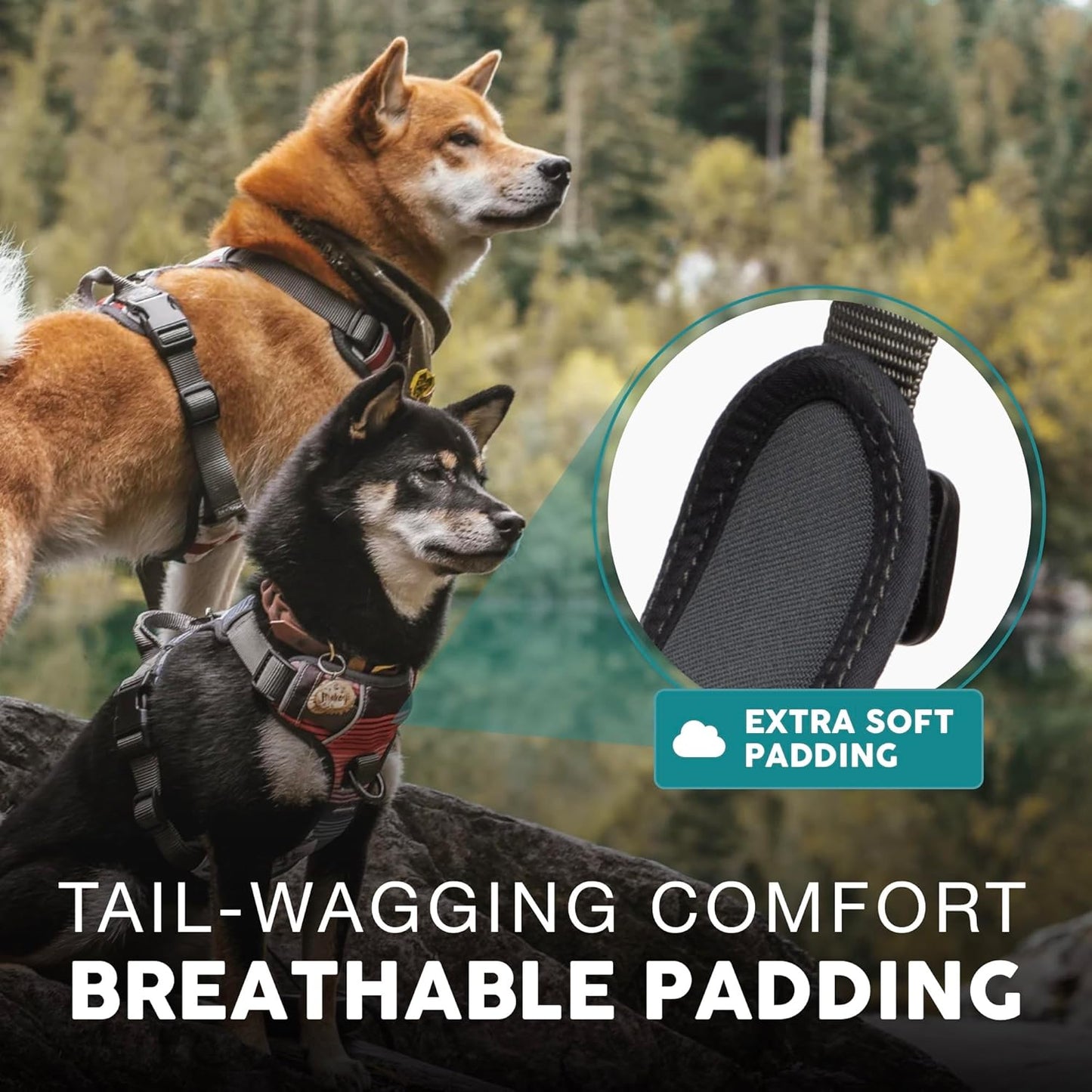 Embark Adventure Dog Harness, Reflective Trim No Pull Dog Harnesses for Small Sized Dogs - Military Grade Nylon, Front Clip with Gel Lined Handle.