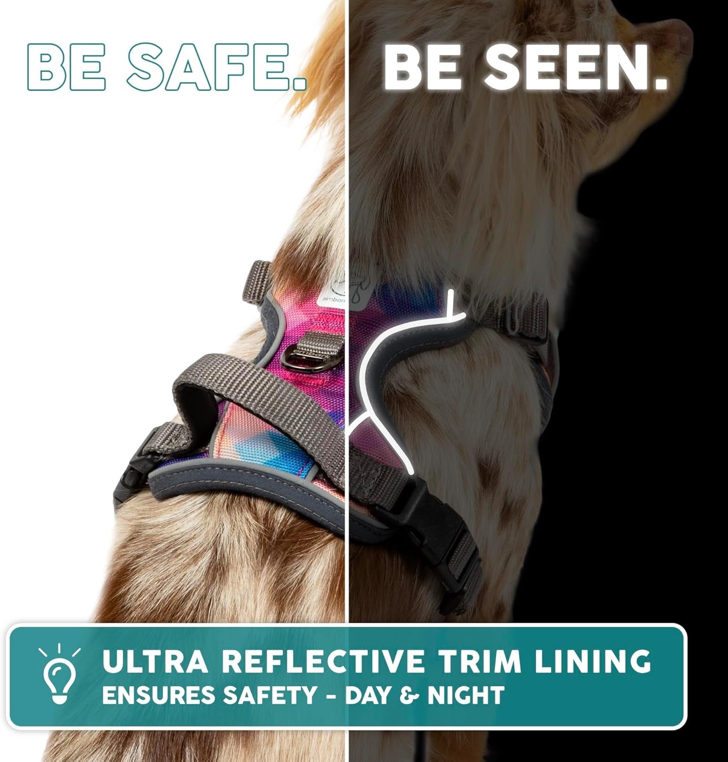 Embark Adventure Dog Harness, Reflective Trim No Pull Dog Harnesses for Small Sized Dogs - Military Grade Nylon, Front Clip with Gel Lined Handle.