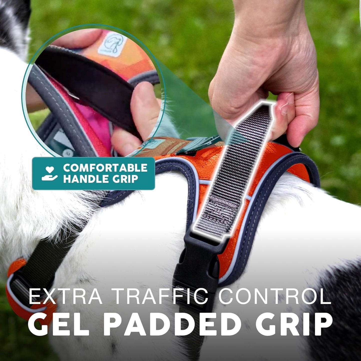 Embark Adventure Dog Harness, Reflective Trim No Pull Dog Harnesses for Small Sized Dogs - Military Grade Nylon, Front Clip with Gel Lined Handle.