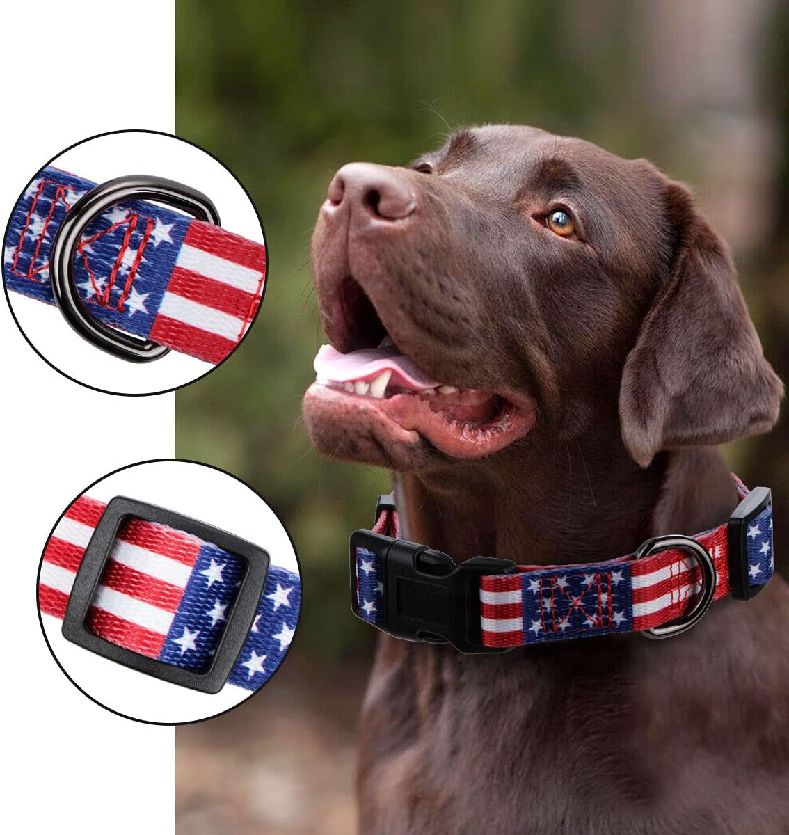 American Flag Dog Collar Independence Day Fourth of July the Great America Dog Collars Medium