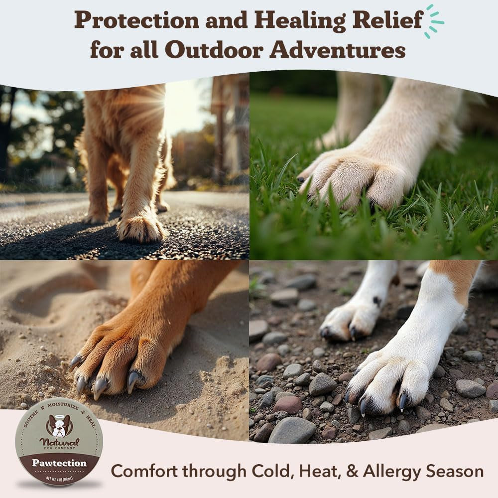 Pawtection Balm for Dogs, Dog Paw Protector, Moisturizing Dog Paw Balm for Dry, Cracked Pad, Protects Paw from Extreme Weather, Paw Lotion for Allergies & Itching (0.15 Oz Stick)