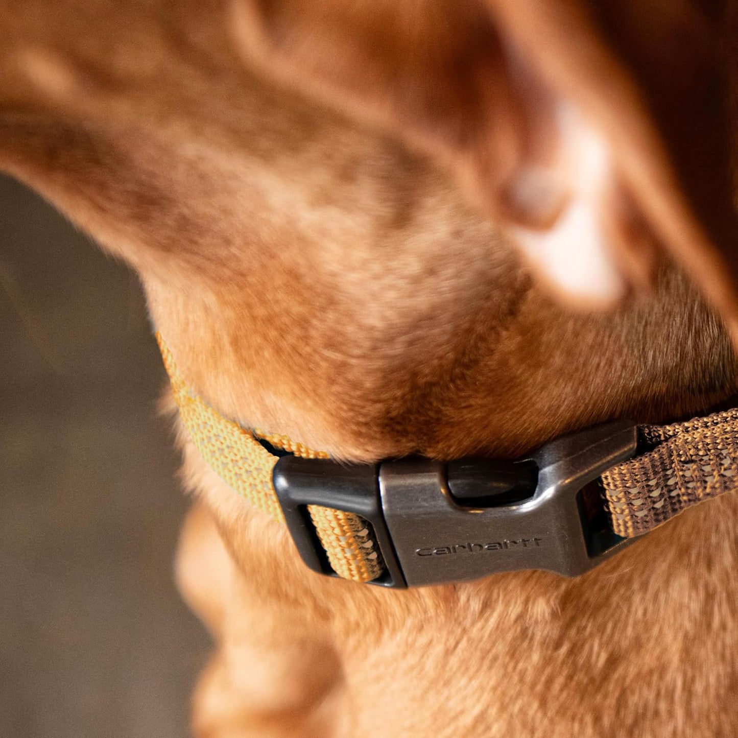 Gear P0000343 Tradesman Collar - Large - Black