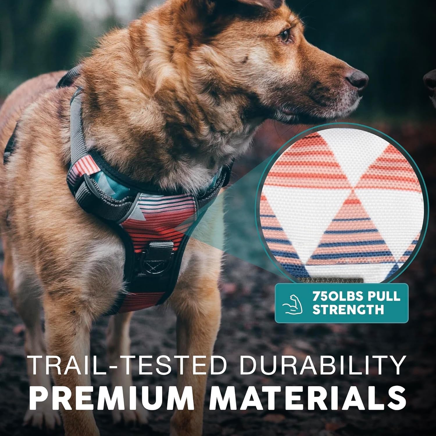 Embark Adventure Dog Harness, Reflective Trim No Pull Dog Harnesses for Small Sized Dogs - Military Grade Nylon, Front Clip with Gel Lined Handle.