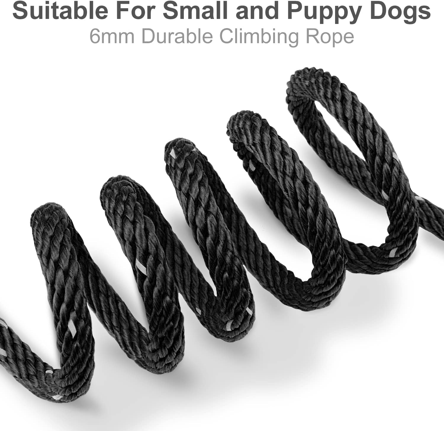 Long Dog Training Leash, 30 FT Tie Out Rope Check Cord with Padded Handle, Reflective Recall Lead for Puppy and Small Dogs, Black