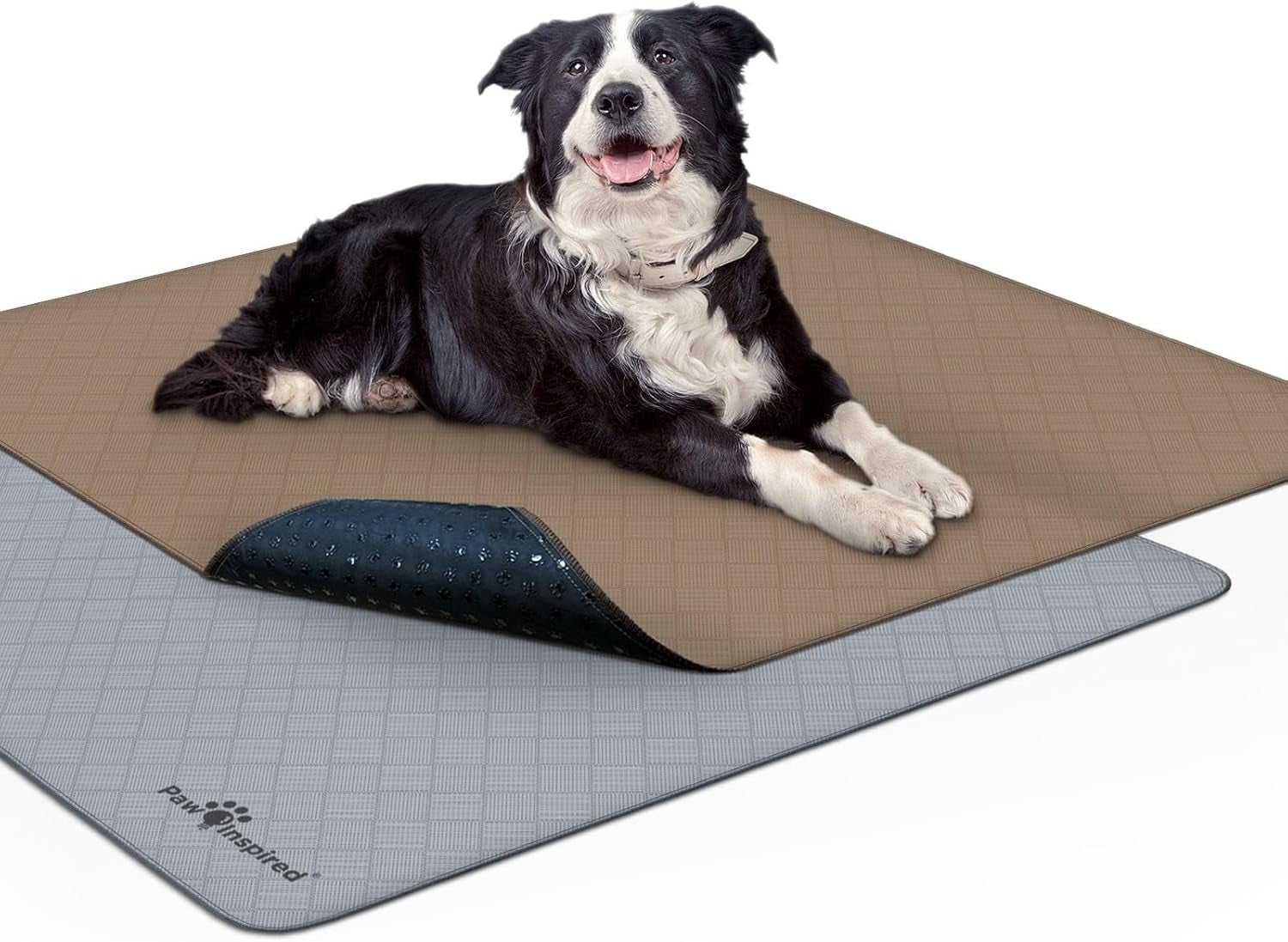 Washable Pee Pads for Dogs (2 Pack) | Leakproof, Non-Slip Reusable Puppy Pads for Potty Training, Whelping, Waterproof Mat (41X41 Size, Pack of 2)